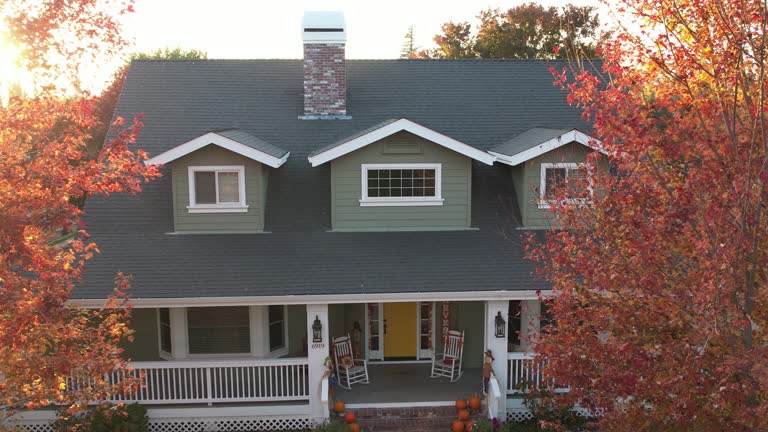 Best Roof Moss and Algae Removal  in Pendergrass, GA